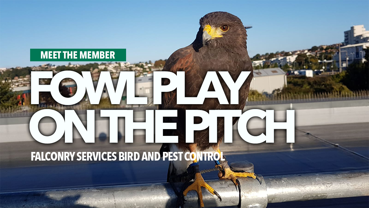 Fowl play falconry services bird and pest control Fowl play falconry services bird and pest control
